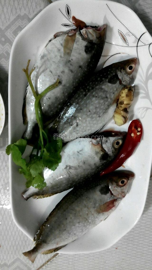 鱼和姜辣椒准备好