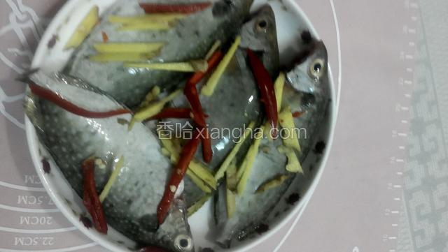 鱼摆好盘把辣椒姜放上面