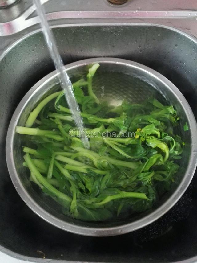 油菜变绿后迅速过凉水，给菜将温，这样不会使色泽变黄或加深，影响色泽度