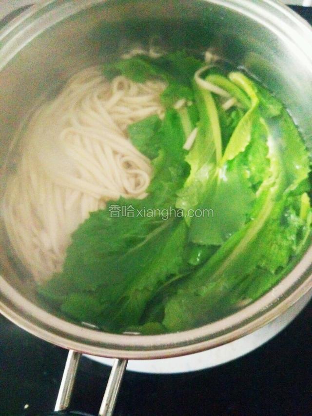 面八成熟的时候加入青菜。加入盐！！
