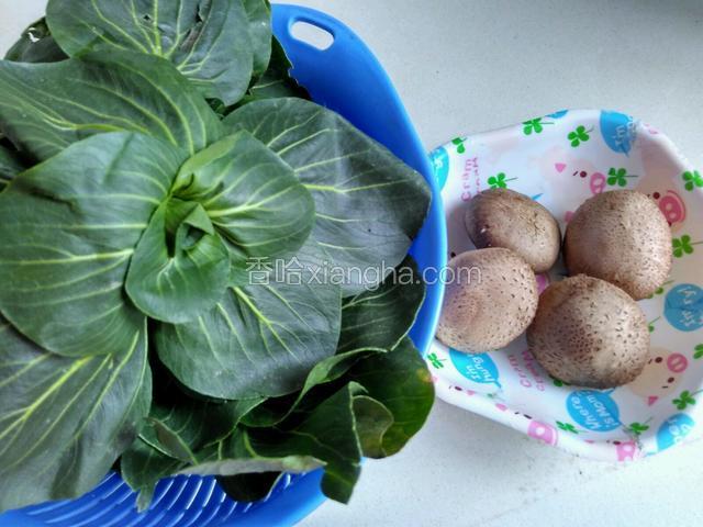 我用的是鲜香菇，青菜是俺们本地的青菜