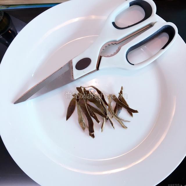 果皮剪丝