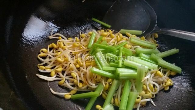 起锅下少一些油将豆芽和芹菜炒至断生，加少许盐调味。