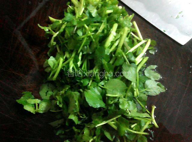 西洋菜清洗干净，切小段
