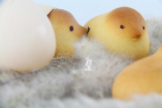 成品图
