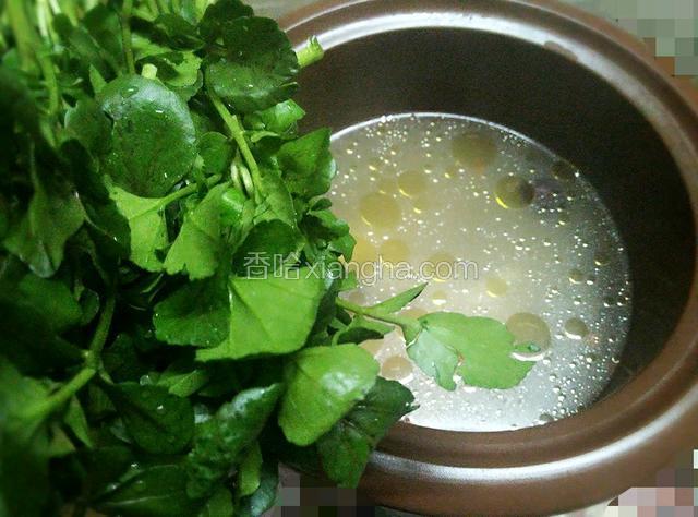 放西洋菜煲半个小时即可、饮用前放盐
