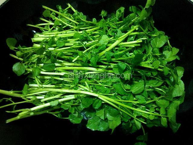 放西洋菜翻炒片刻、炒至西洋菜软身