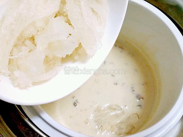 加入燕窩繼續燉45分鐘（燕窩的燉煮時間也是應產地和品種而定，購買時請資詢店家）