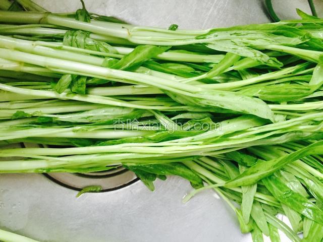 空心菜洗净择去烂叶。