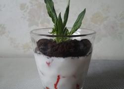 草莓酸奶盆栽
