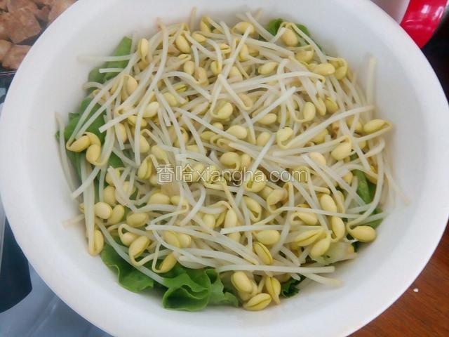 豆芽铺生菜上面