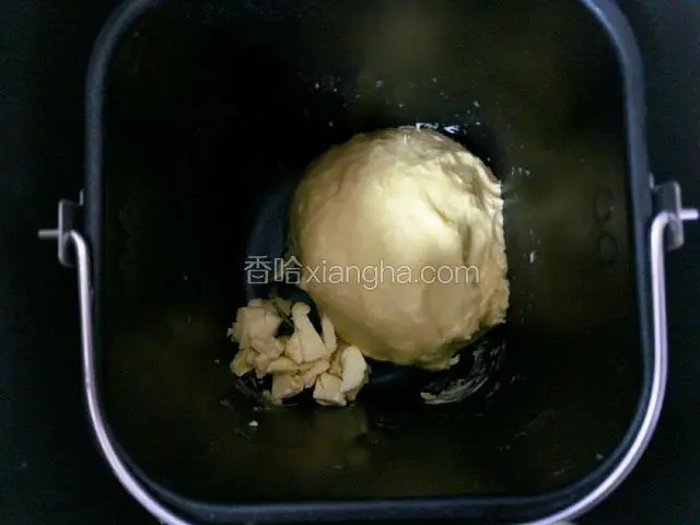 启动面包机和面20分钟至扩展阶段，加入25g软化的黄油。