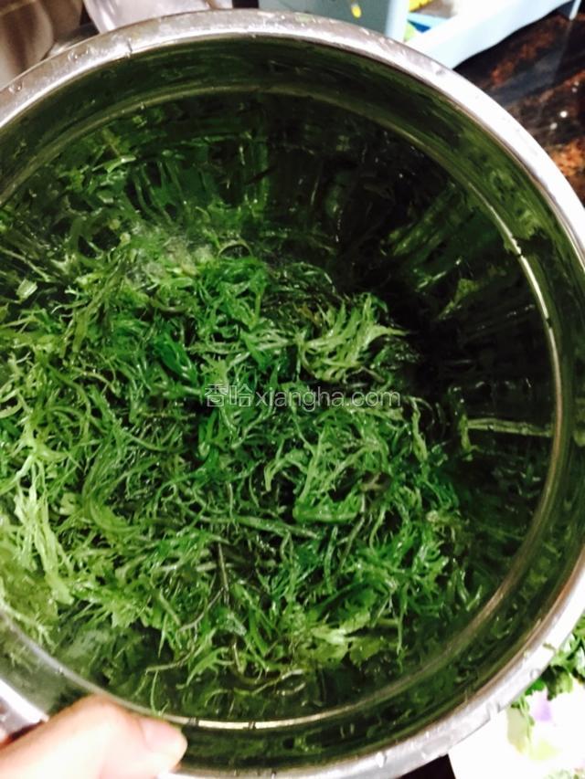 将水倒掉，用干净的剪刀将海藻剪短一些。