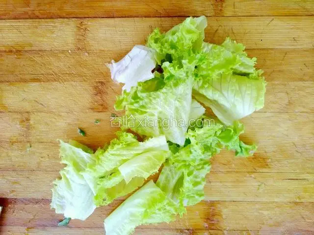 生菜苦菊切段
