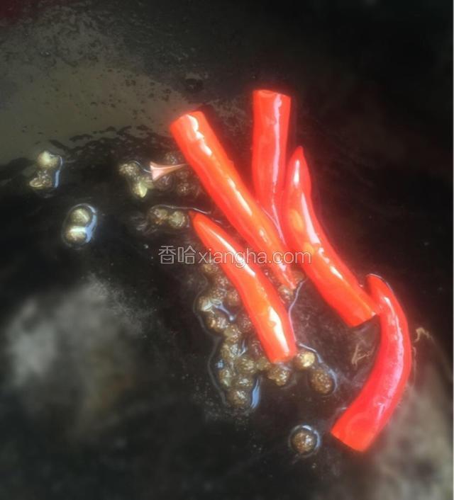 干净的锅中再倒入适量色拉油，热锅凉油，放入花椒粒与泰椒爆香后，将花椒粒铲出不要。