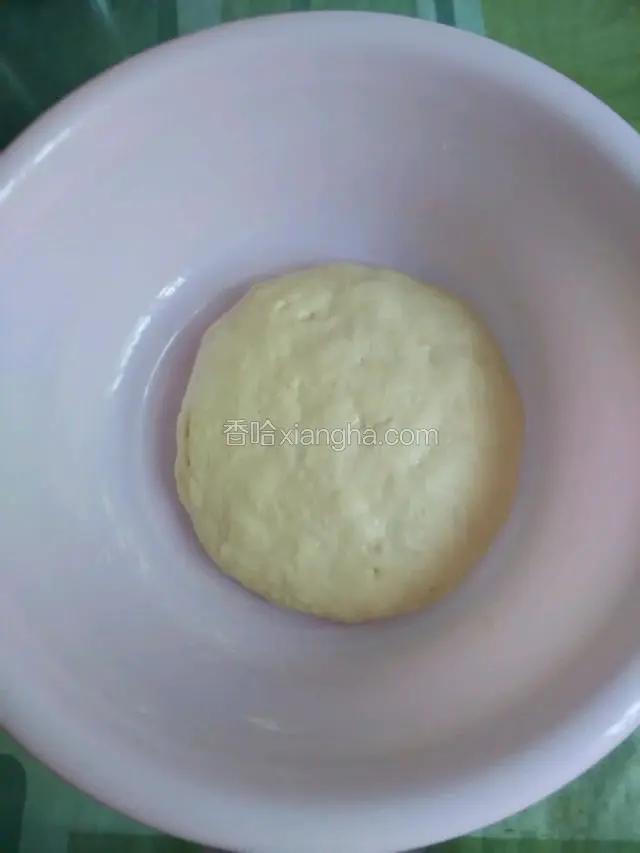 和好后醒面（1～2小时）