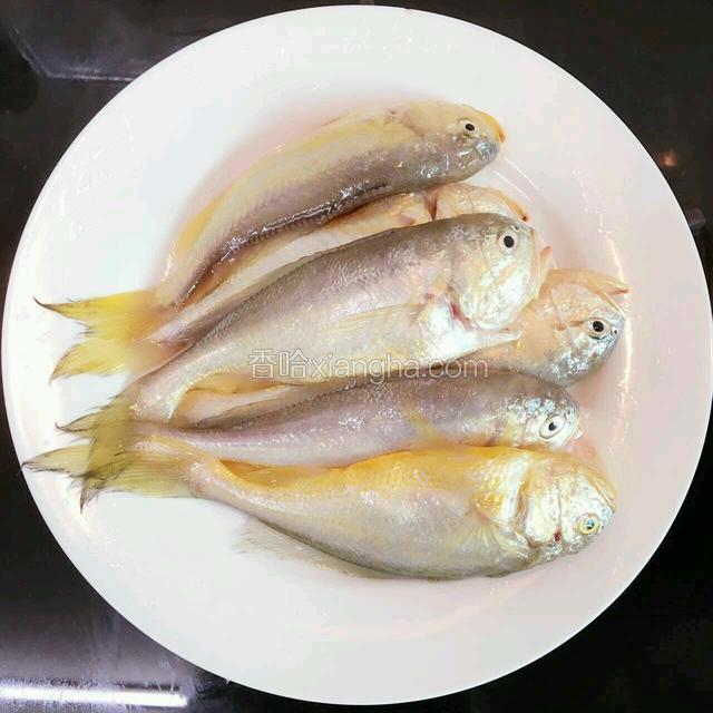 鱼彻底处理：去鱼鳞.鱼腮.内脏