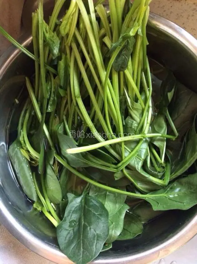 清洗好菠菜