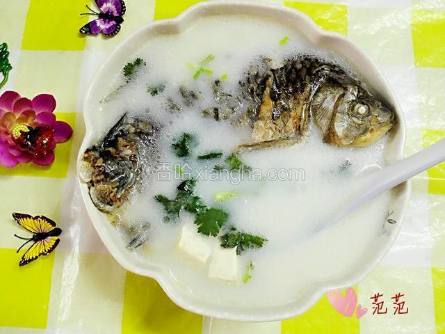 豆腐鱼汤