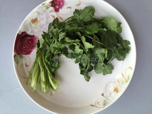 去掉香菜根部，并清洗好。