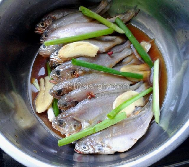 把小黄花鱼内脏鱼鳃和鱼肚内的黑皮清洁干净后放料酒，葱姜，花椒，酱油，盐少许，腌制半个小时。