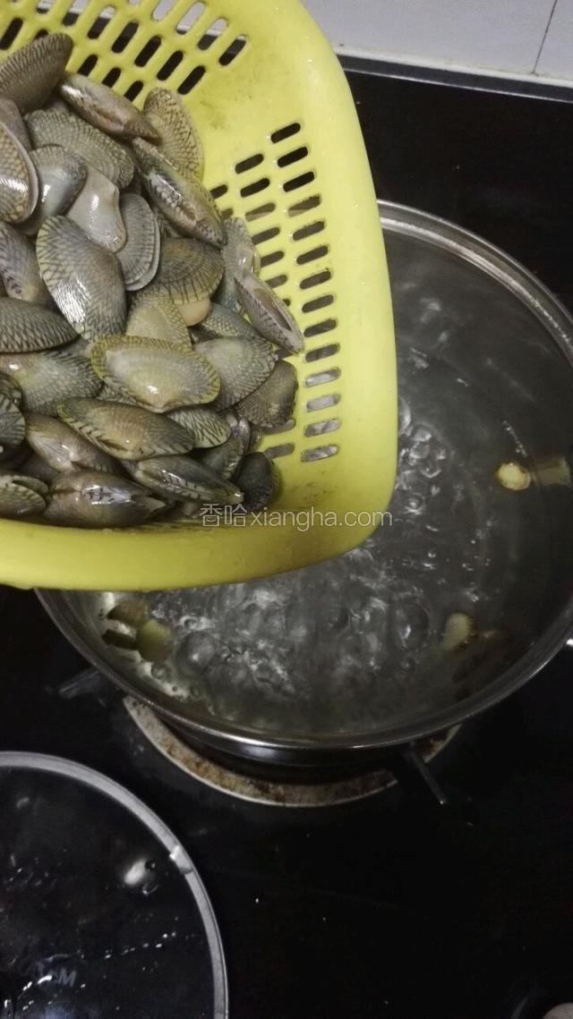 花蛤蜊吐干净泥沙后再洗一洗，锅里烧开水，先几片姜进去，然后洒点料酒，再放蛤蜊进去焯水