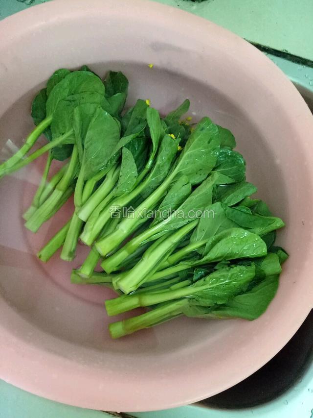 菜心摘去老叶，老茎，用清水冲洗干净后浸泡10分钟