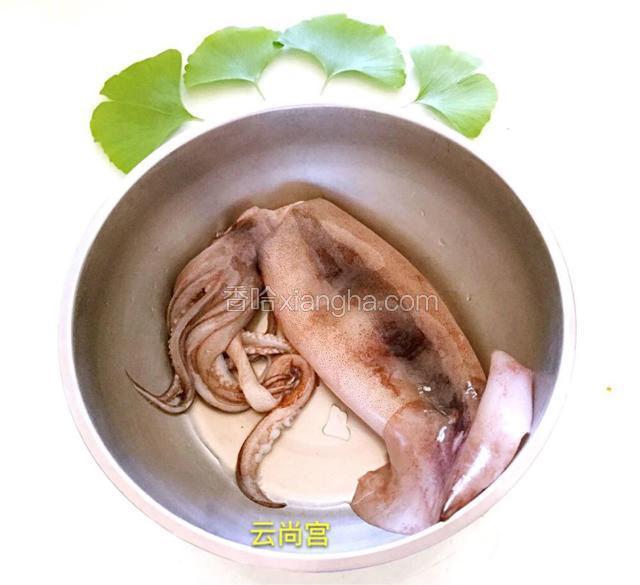 准备一条一斤左右的鱿鱼。