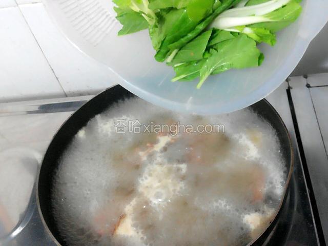 鸭肉煮好，再下小白菜（要下白菜时，盐和鸡精先到匙子上来）