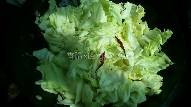 再放入圆白菜 