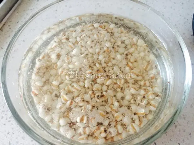 薏米提前一天浸泡，大概12个小时，我是昨晚泡的。