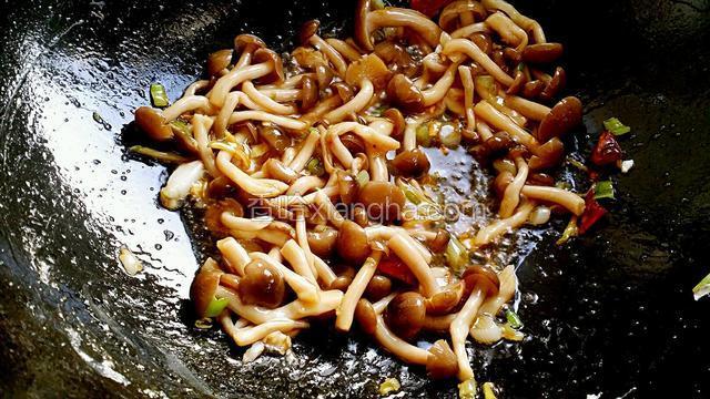爆出香味后下入鸡腿菇翻炒均匀，再加入耗油翻炒片刻