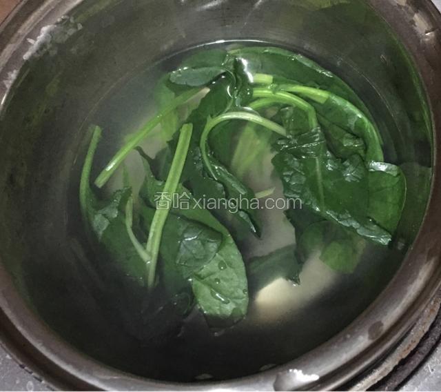 菠菜开水焯烫捞出沥干水分