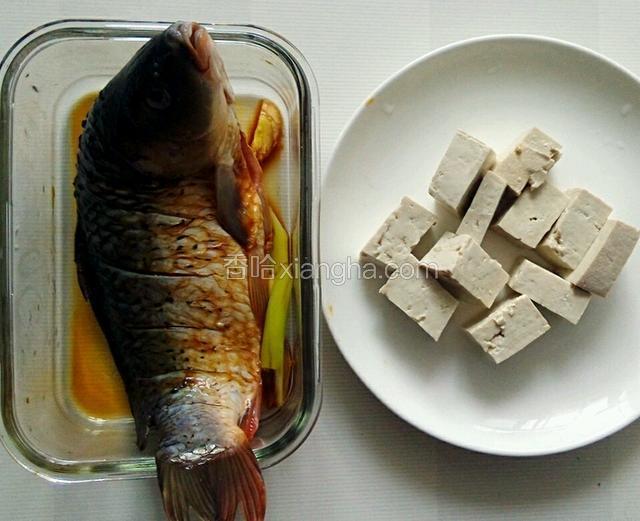 鲤鱼清洗干净 表面划刀，撒料酒，生抽及葱姜丝腌制半小时，豆腐切块。