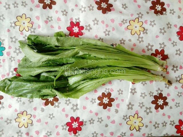 准备好食材：三根油麦菜。