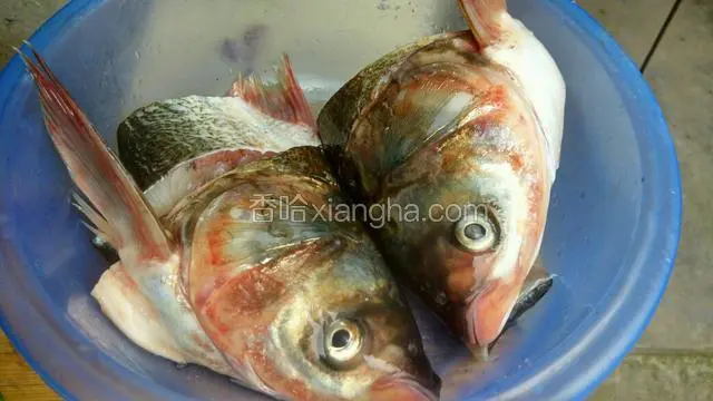 将鱼杂洗净，盐，料酒，腌十五分，
