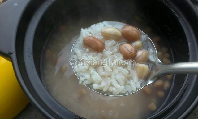 二十分钟后，看到大米开花，花生熟透