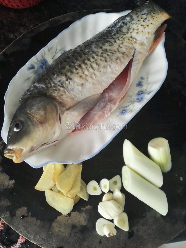 草鱼一条，去鳞挖出内脏清洗干净，葱切段，姜蒜切片