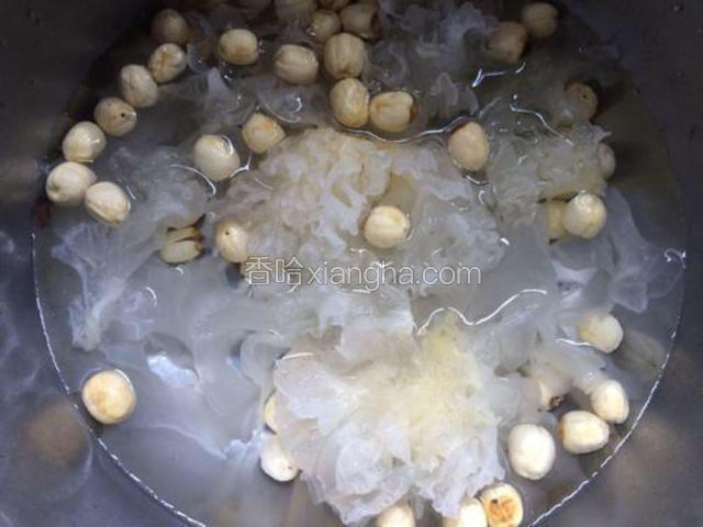 将银耳和莲子用冷水浸泡2-3小时