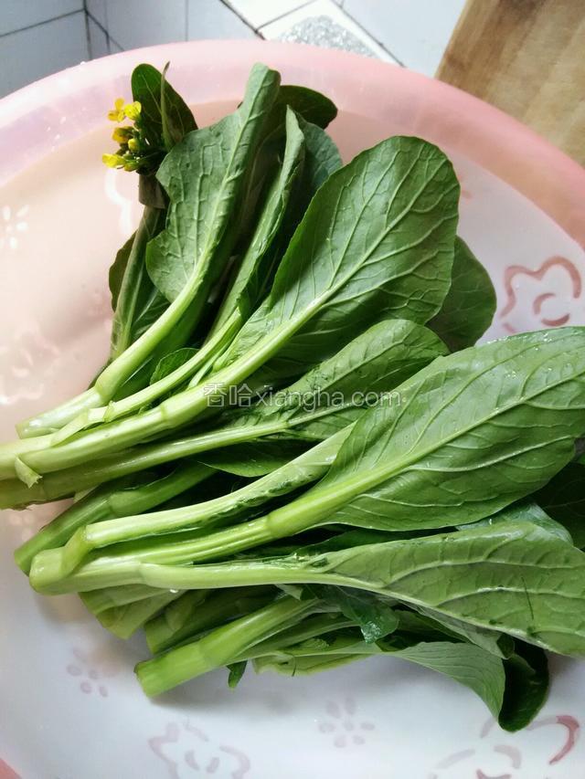 菜苔买回洗净，控干水