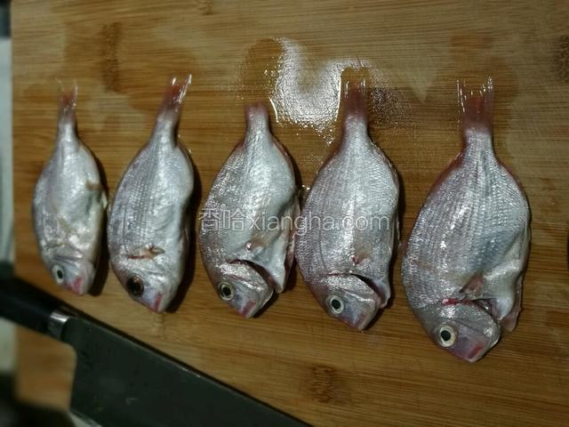 把买回来的红立鱼刮干净身上的鱼鳞，去除内脏。（也可以叫外面卖鱼的人弄干净）
