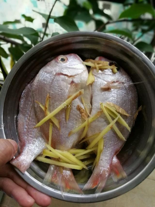 在鱼的表面和肚皮里面抹上一些盐，放姜丝稍微腌制一会儿，下锅煎的时候，把里面的血水倒掉
