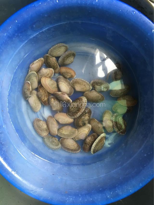 准备好食材，花甲先在清水里面泡一个小时左右