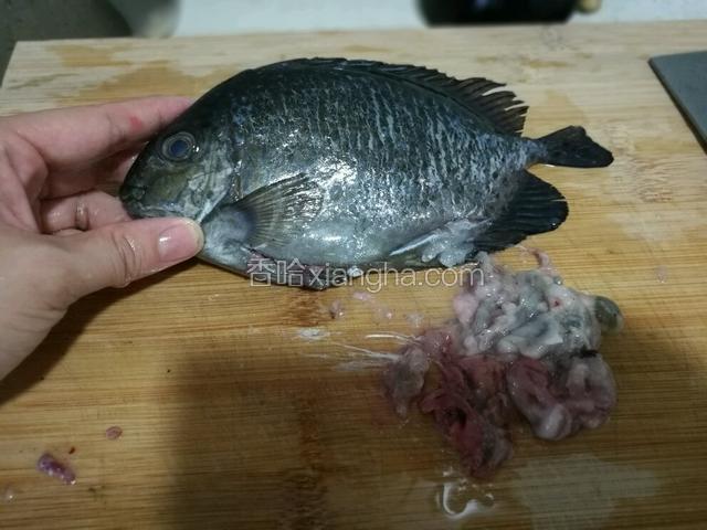 把买回来的泥猛鱼，去除内脏，冲洗干净