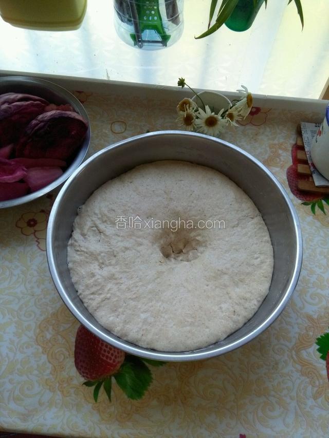 大约2小时左右面团就发酵。