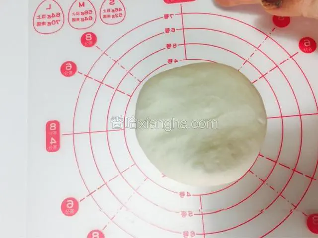 30分钟后取出，不需要继续发酵，用手轻轻按下排气