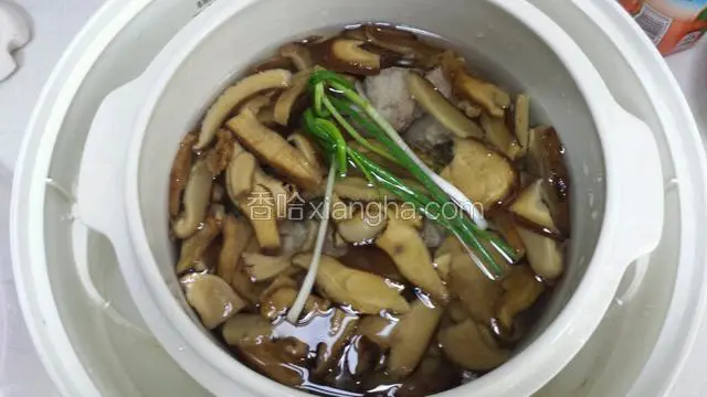 将焯过水的排骨和松茸一起放入炖锅中，加入适量的水，水不要过多，没过排骨松茸一点就可以了，加入两根葱结，加入一勺盐,少许醋。