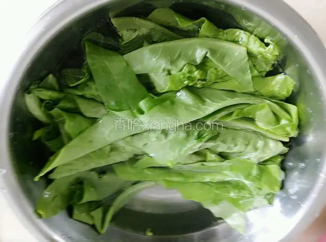 油麦菜洗干净，放入盘中放少许盐寝泡20分钟，捞出控水
