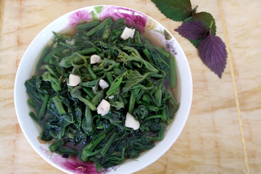清炒南瓜叶