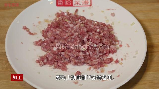 取一个干净的盘子，把肉馅放入盘中，加入盐、味精、鸡粉、香油、葱和姜，搅拌均匀上劲后腌制10分钟备用，